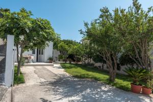 Gallery image of Apartments Coce in Trogir