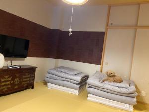 TV/trung tâm giải trí tại Platinum Yasaka - Vacation STAY 84649v