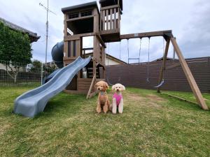 two dogs are standing in front of a playground at Sakuda Bliss - Vacation STAY 93274v in Katakai