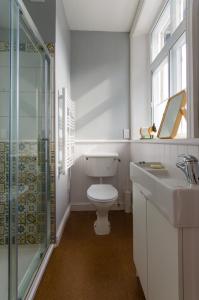 een badkamer met een toilet, een wastafel en een douche bij Station Cottage in Bucknell