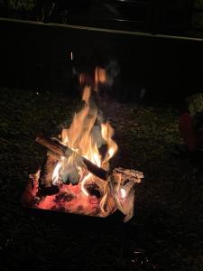 Gallery image of Bonfire Beach Club - Vacation STAY 06134v in Katakai