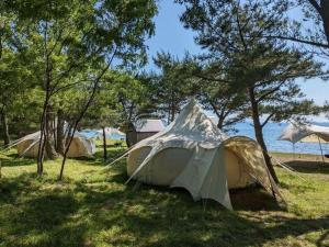 a group of tents in the grass near the water at Roots Inawashiro Lake Area - Vacation STAY 29943v in Inawashiro