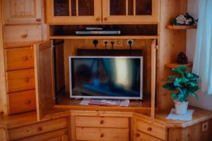 a tv sitting on top of a wooden entertainment center at Appartement SEPPI by MoniCare (Haus Claudia) in Seefeld in Tirol