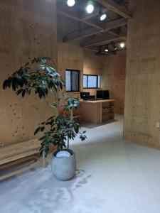ein großes Zimmer mit einer Topfpflanze in der Mitte in der Unterkunft HANARE STAY&SPACE - Vacation STAY 38426v in Misaki