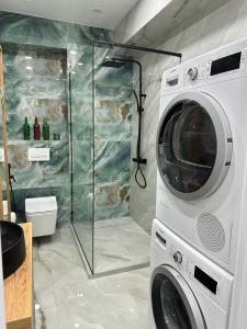 a washing machine in a bathroom with a shower at Artima Downtown in Chişinău