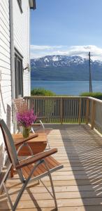 Příroda nedaleko prázdninového domu