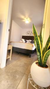 um quarto com uma cama e uma planta em um vaso em 5CERO2 STAYMENTS - Hermoso y Cómodo Apartamento Tipo penthouse em Guatemala