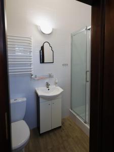 a bathroom with a toilet and a sink and a shower at Stacja Binino in Binino +56 photos