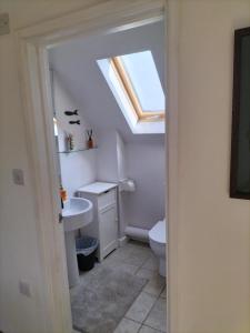a bathroom with a sink and a toilet with a skylight at Fig Tree Cottage  +25 photos