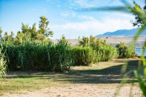 Gallery image of Terra Park SpiritoS Pitches in Kolan