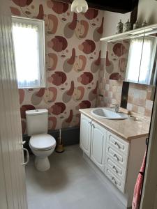 アルジャン・シュル・ソルドルにあるLa maison d'Elianeのトイレと洗面台付きのバスルーム +16枚の写真