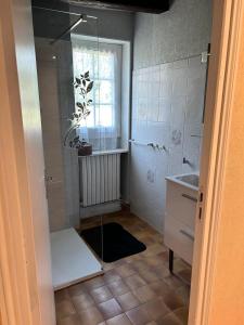 アルジャン・シュル・ソルドルにあるLa maison d'Elianeのシャワーと洗面台と窓のあるバスルーム