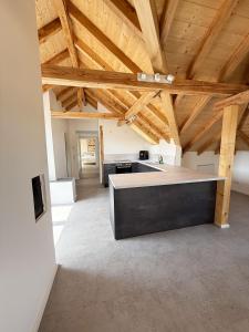 a kitchen with a large island in a room with wooden ceilings at Neues, stilvolles Loft inmitten der Weinberge 
