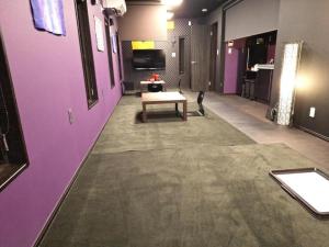 名古屋市にあるKorin - Vacation STAY 60460vの紫の壁の部屋の真ん中に座る猫