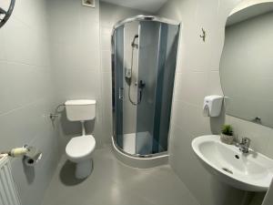 a bathroom with a shower and a toilet and a sink at Hotel Jabłoński in Dorotowo
