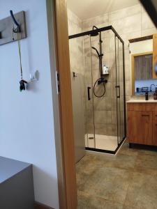 a bathroom with a shower and a sink at Apartament Lawendowy in Wieliszew