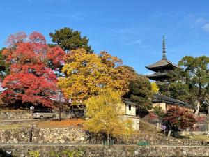 a pagoda and trees with autumn colours in front of a building at Arte Building 3F - Vacation STAY 58153v in Nara