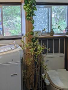 une salle de bain avec des toilettes et une plante dedans dans l'établissement Birdland Nature Resort - Vacation STAY 76315v, à Akaoki 18 autres photos