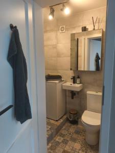 a bathroom with a toilet and a sink at Žemaičių 8 in Kretinga +18 photos