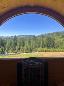 une fenêtre avec une poubelle donnant sur une forêt dans l'établissement Stodółka, à Nieledwia 4 autres photos