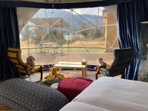 a room with a bed and chairs and a large window at Halo KYOTO no UMI | Hello Kyoto no UMI - Vacation STAY 40860v in Yura