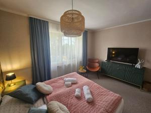 a bedroom with a pink bed and a television at LUCAFIORI Hotel OBORY in Obory