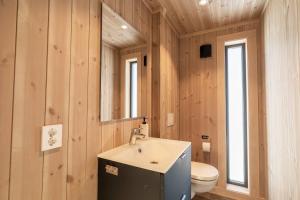 un baño con lavabo e inodoro en Cabin at Norefjell ski resort, nice view, en Noresund 38 fotos más