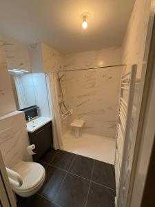 a small bathroom with a toilet and a shower at Vars Livingstone in Vars