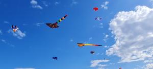 ナルボンヌ・プラージュにあるAppartement SUNSET LODGEの空を飛ぶ凧の群れ