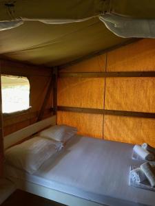 Ảnh trong thư viện ảnh của MARUŠINA OLIVE HILLS - glamping & minicamp ở Punat