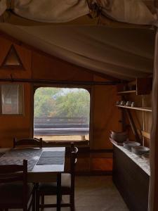 Ảnh trong thư viện ảnh của MARUŠINA OLIVE HILLS - glamping & minicamp ở Punat +78 ảnh