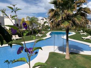 a pool at a resort with a palm tree at Cosy Apartment Resina Golf & Pool Estepona Costa del Sol in Estepona