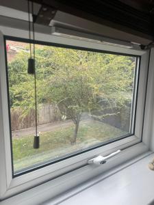 a window with a view of a tree at Wallington Green for FEMALE GUESTS only, near station, 30 min to London Bridge, 27 min to LDN Victoria in Wallington