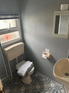 a small bathroom with a toilet and a sink at Skye Holiday Caravan 4 in Uig