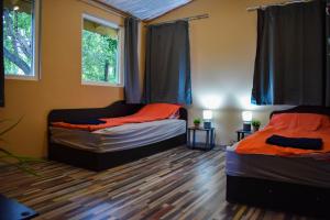 two beds in a room with two windows at Lion Cottage in Chuprene