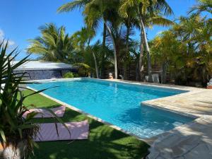 een zwembad met palmbomen in een tuin bij Caraiba - Maisons de Vacance avec Piscine et Toit Terrasse in Sainte-Anne +8 foto's