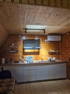a kitchen with a sink and a wooden wall at Cozy Cottage A in Kutaisi