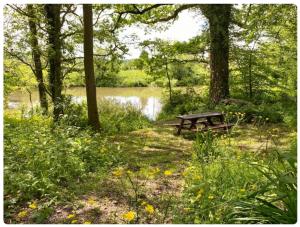 a picnic table sitting in the grass near a lake at Park Farm Chalet in Hawkhurst