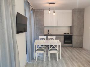 Kuchyň nebo kuchyňský kout v ubytování Belvedere Caraiman