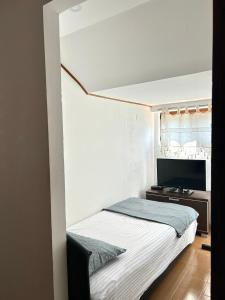 a bedroom with a bed and a tv in it at Mansarda apartment in Kotor