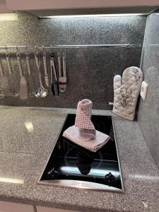 a kitchen counter with a sink with a hat in it at Appartement ALEXANDRA by MoniCare in Seefeld in Tirol