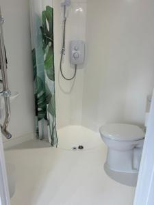 a bathroom with a shower and a toilet at Modern Spacious Crawley Studio in Crawley