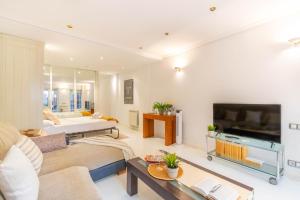Una sala de estar con un sofá y un televisor. en Acogedor apartamento en el corazón de Pamplona, en Pamplona