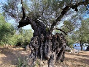 Příroda nedaleko prázdninového domu