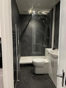 a bathroom with a toilet and a shower and a sink at Yarm Road in Stockton-on-Tees