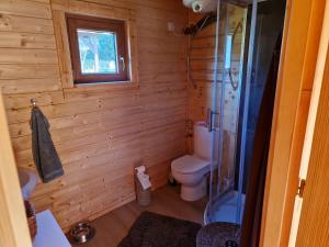 a small bathroom with a toilet and a shower at Magiczny domek in Drzewoszewo +10 photos