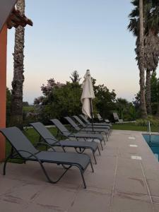 a row of lounge chairs with an umbrella next to a pool at Retiro dos Cedros - Quarto Adega in Fogueira