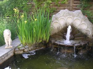 Zahrada ubytování Villa Sonnenstrahl