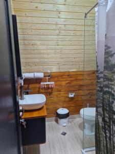 a bathroom with a sink and a toilet at Cozy Cottage B in Kutaisi
