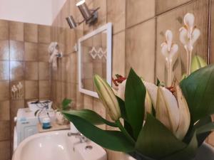 奥尔比亚Passa Parola的浴室里有洗手池和一盆开着白花的植物。